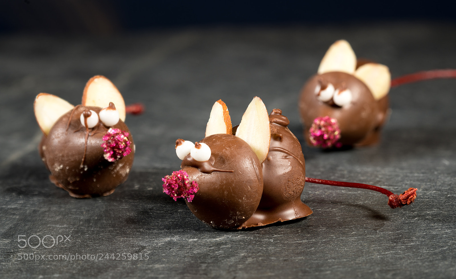 Sony a7R II sample photo. Chocolate covered mouse on photography