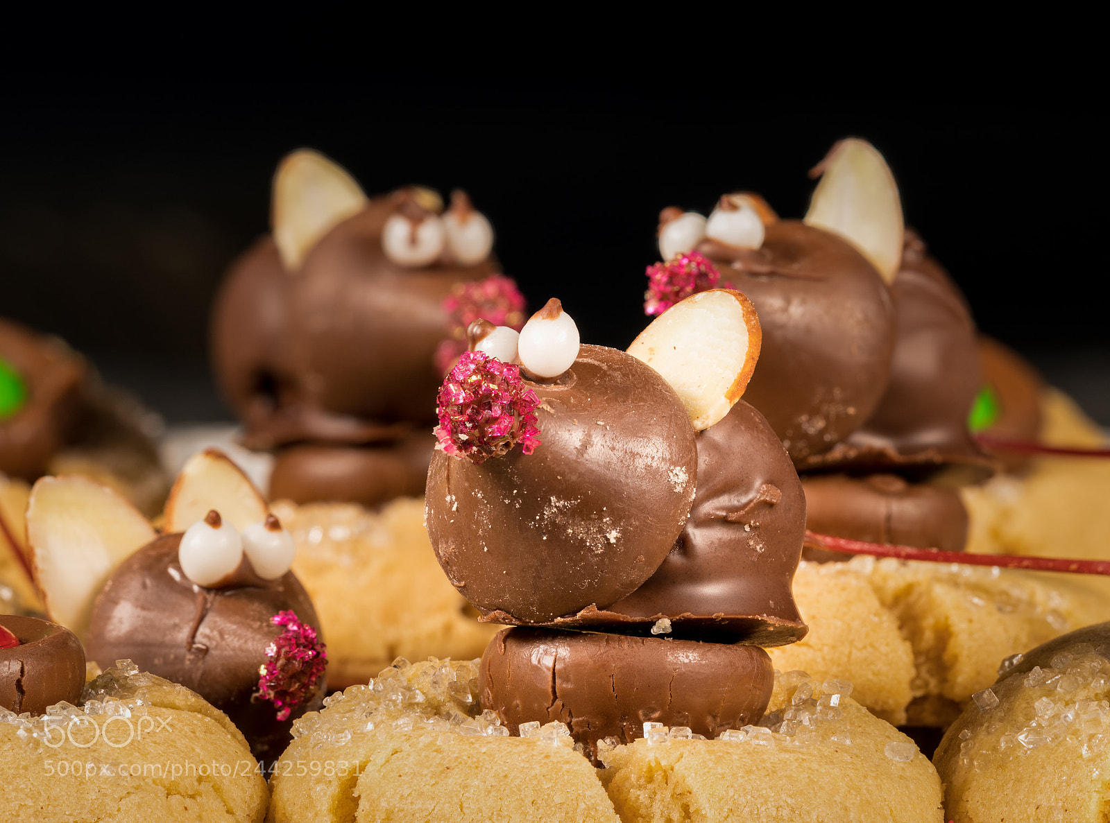 Sony a7R II sample photo. Chocolate covered mouse on photography