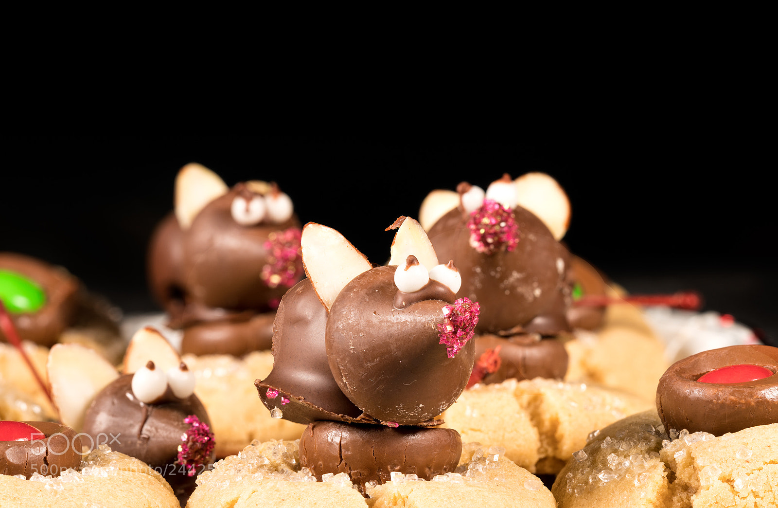 Sony a7R II sample photo. Chocolate covered mouse on photography
