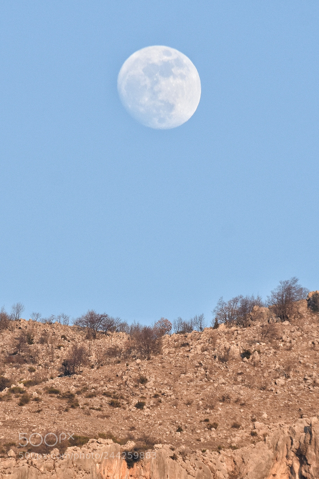 Nikon D7200 sample photo. Moon photography