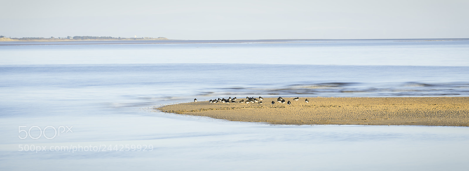 Nikon D810 sample photo. Sandyhills photography
