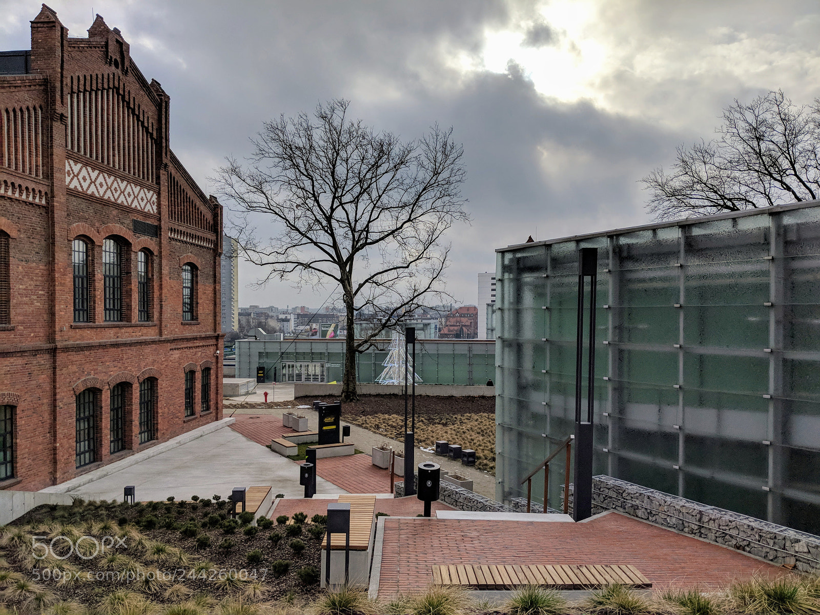 Google Pixel 2 XL sample photo. Untitled photography