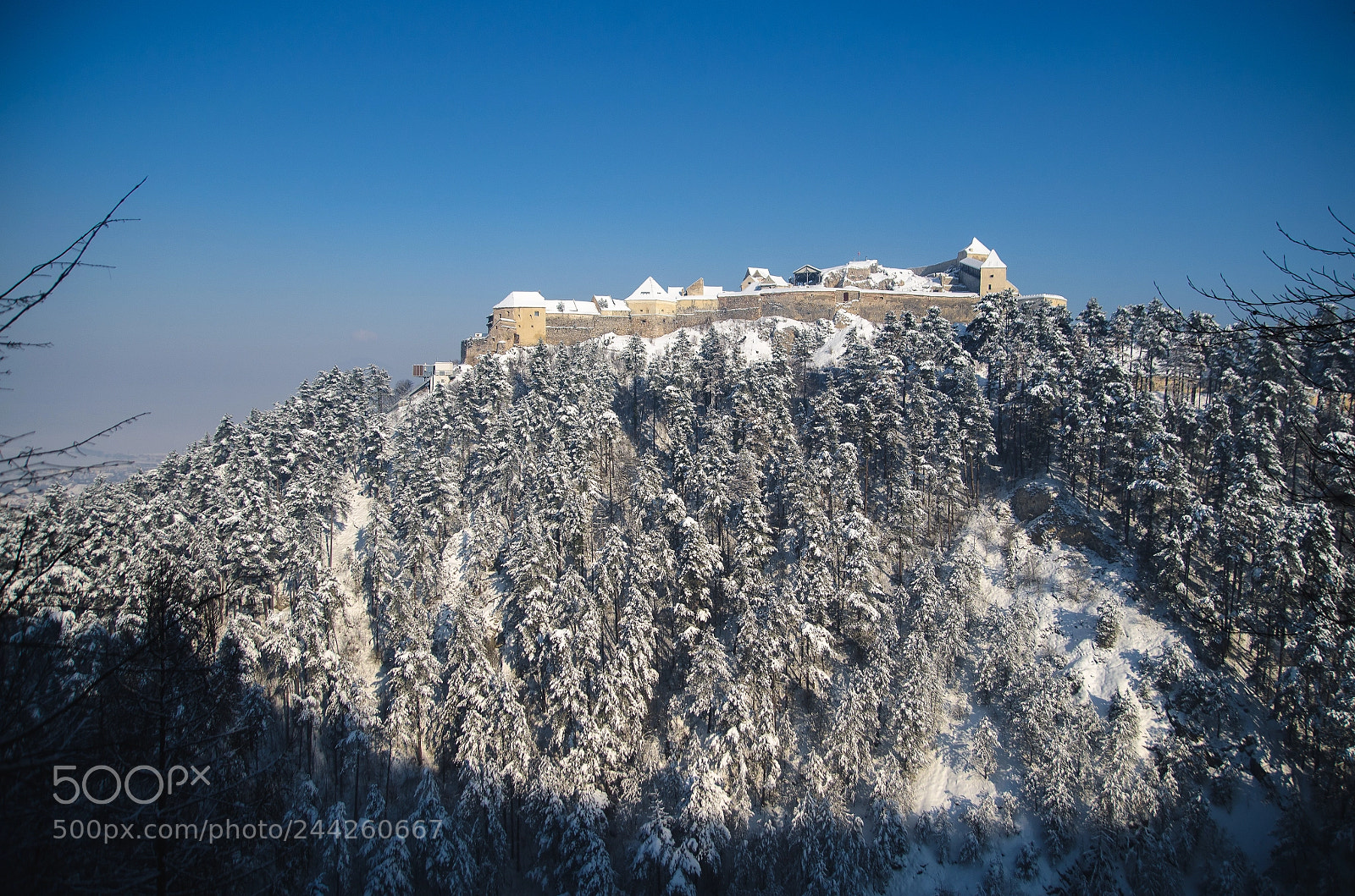 Nikon D5100 sample photo. Castle in winter photography
