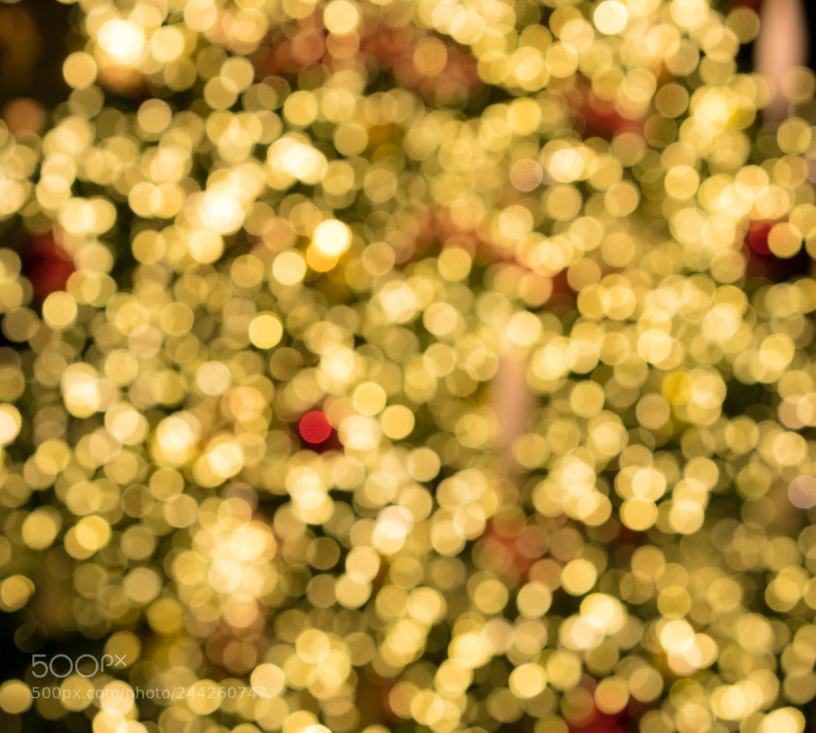 Sony a7R II sample photo. Defocused christmas tree for photography