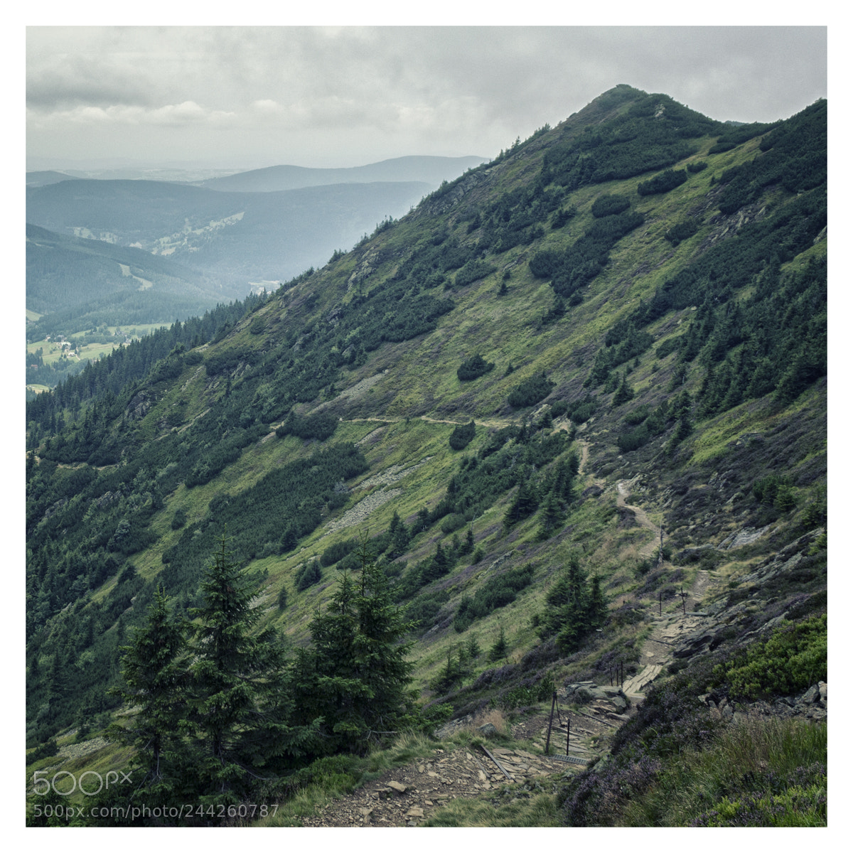 Sony Alpha NEX-5 sample photo. Mountain path photography
