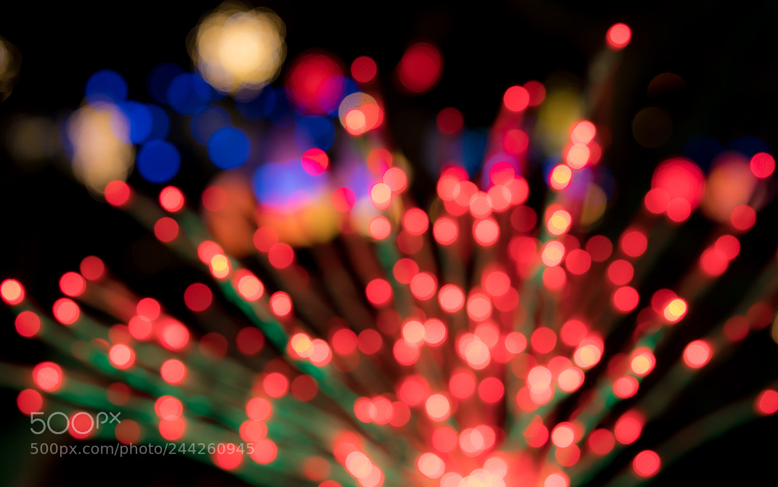 Sony a7R II sample photo. Defocused christmas tree for photography