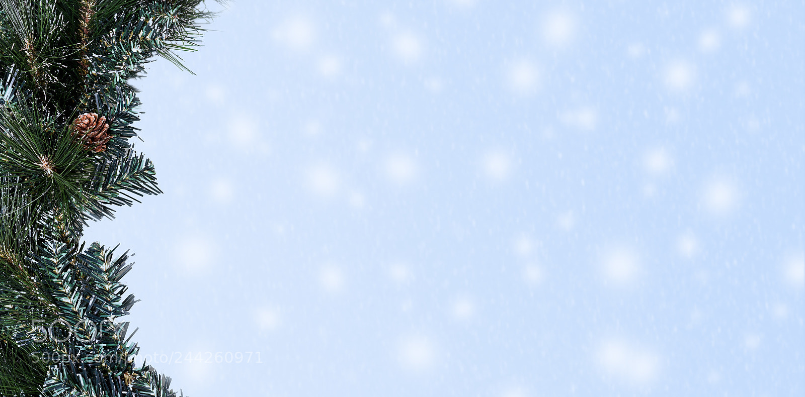 Sony a7R II sample photo. Pine branch with snow photography