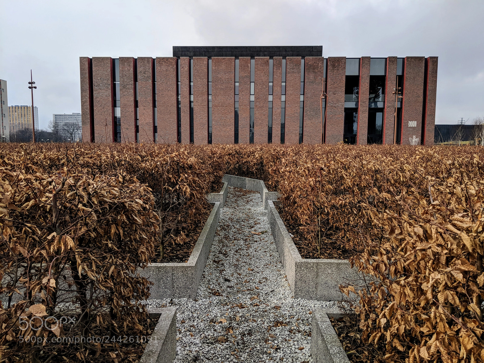 Google Pixel 2 XL sample photo. Untitled photography