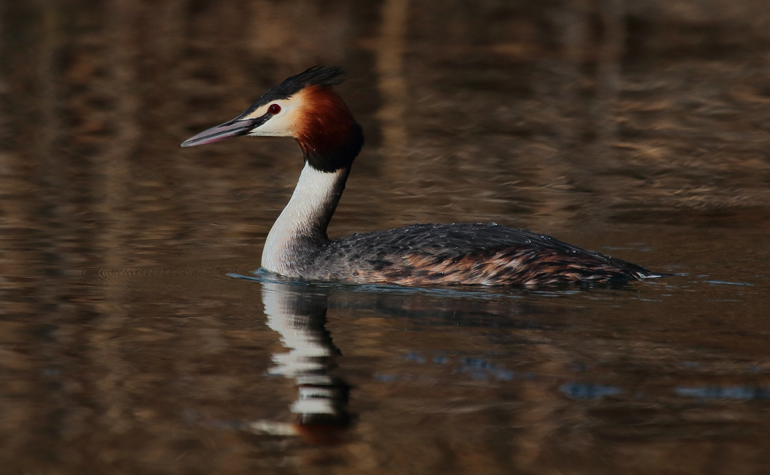 Canon EF 100-400mm F4.5-5.6L IS USM sample photo. Bahrİ photography