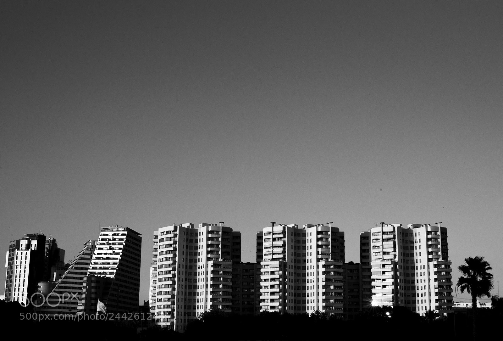 Nikon D610 sample photo. Valencia photography