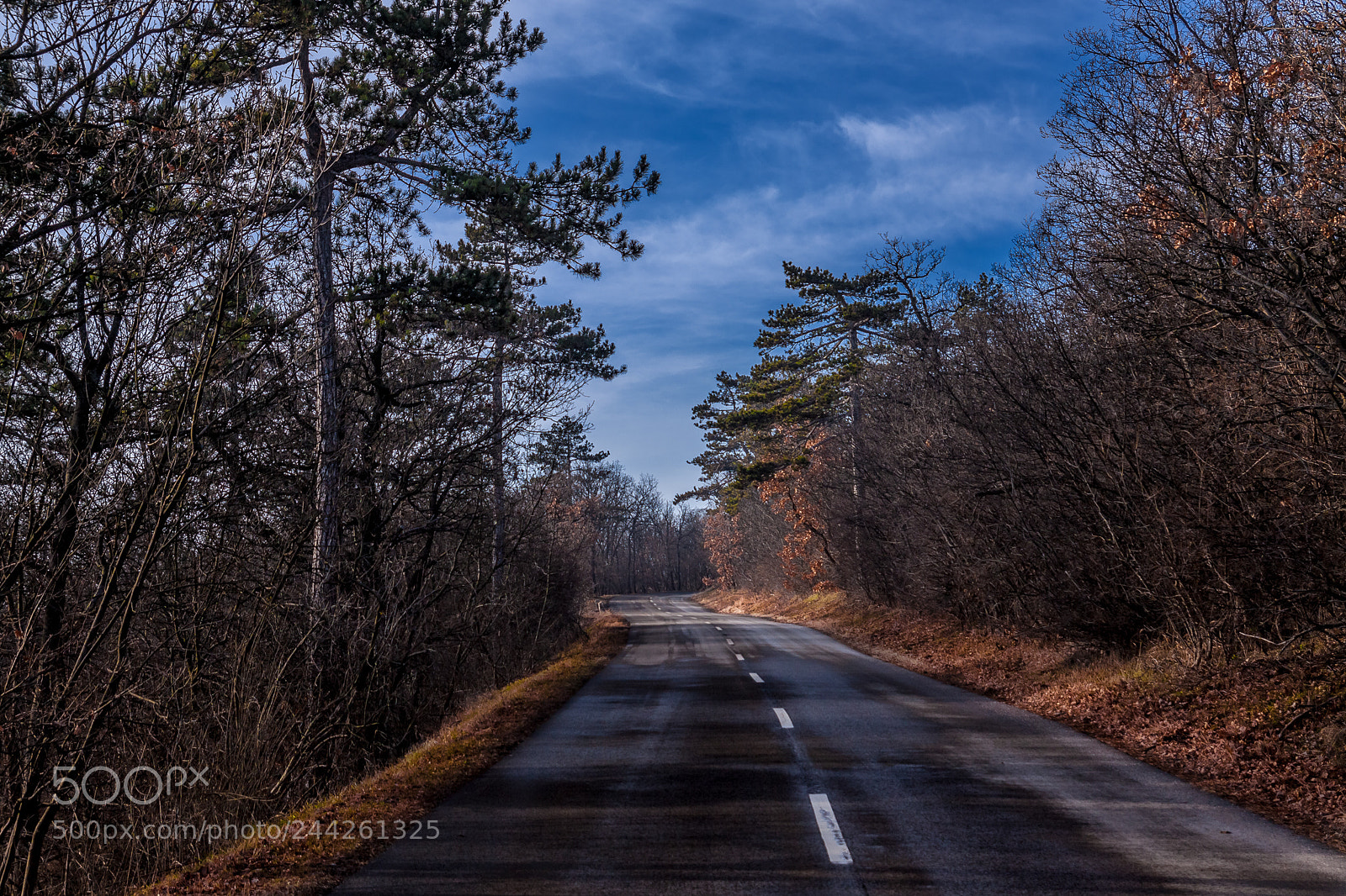 Canon EOS 50D sample photo. Road to the mountain photography
