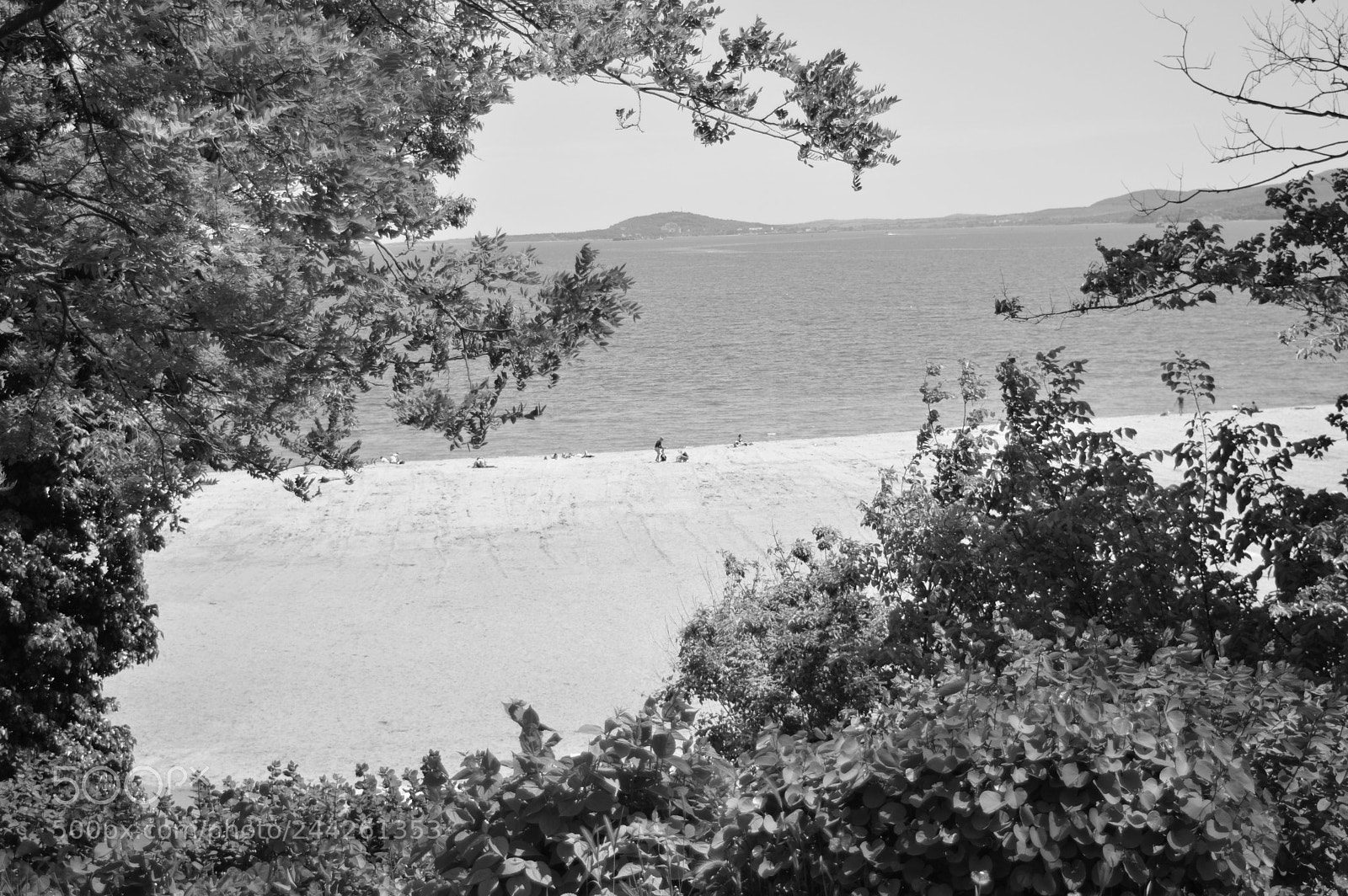 Nikon D3200 sample photo. Black&white photography
