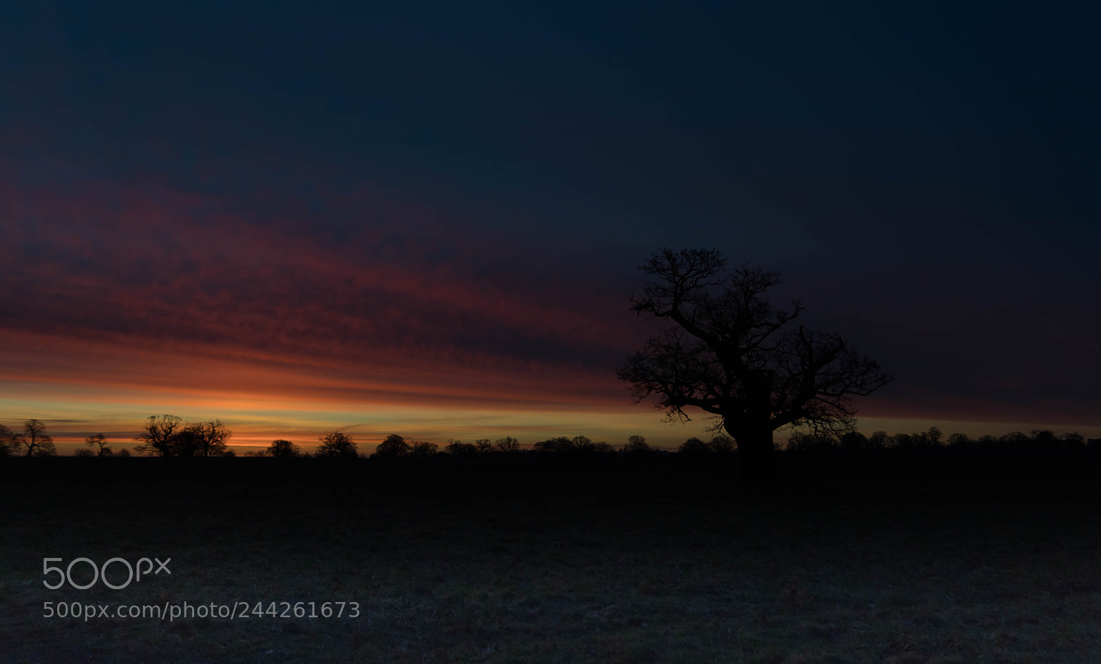 Canon EOS 77D (EOS 9000D / EOS 770D) sample photo. Blue hour windsor photography