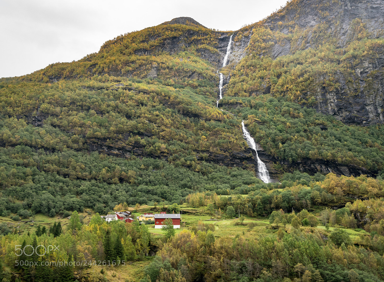 Sony a7R II sample photo. Scenery from flam line photography