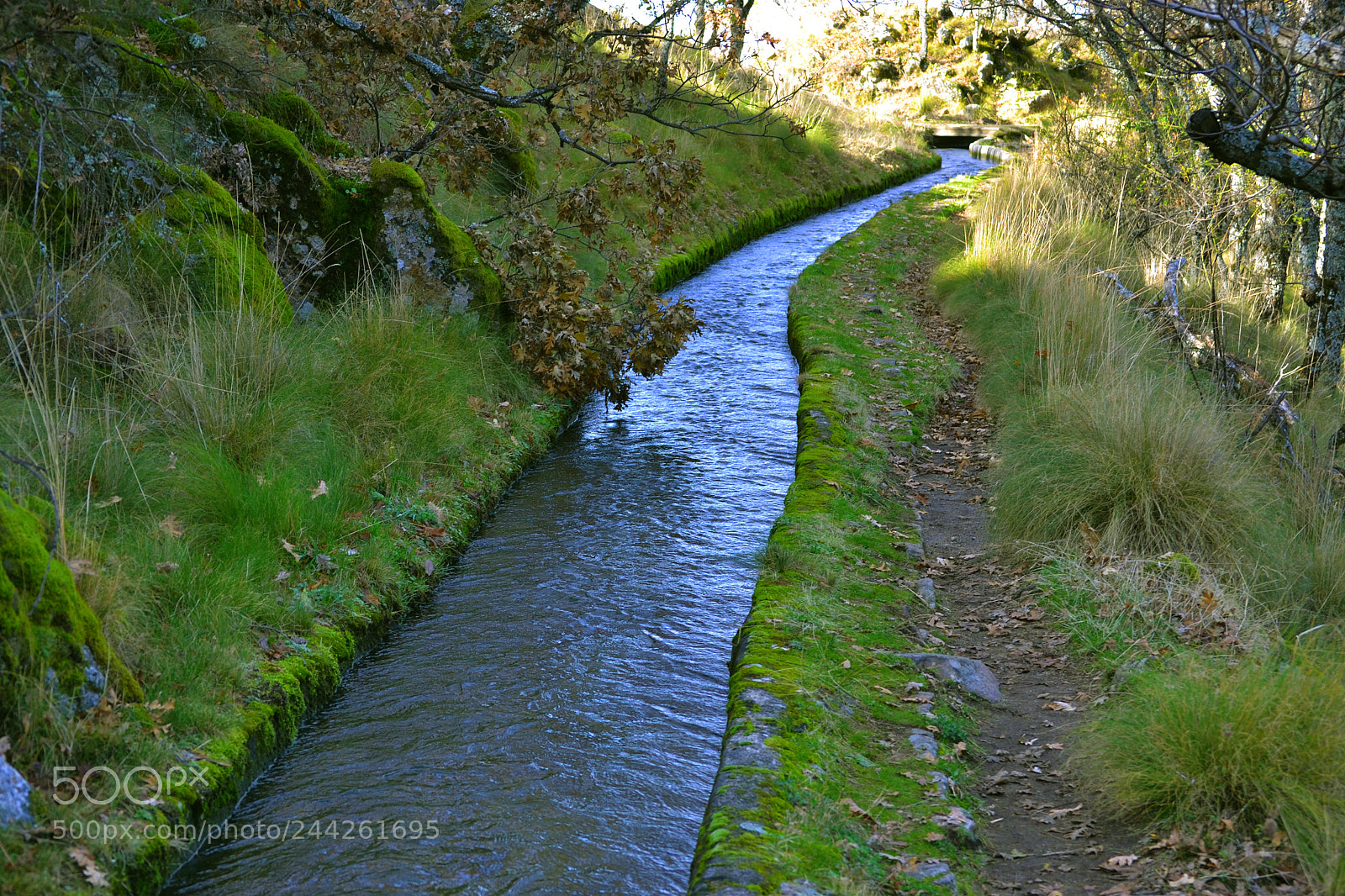 Nikon D3100 sample photo. Riachuelo y sendero photography
