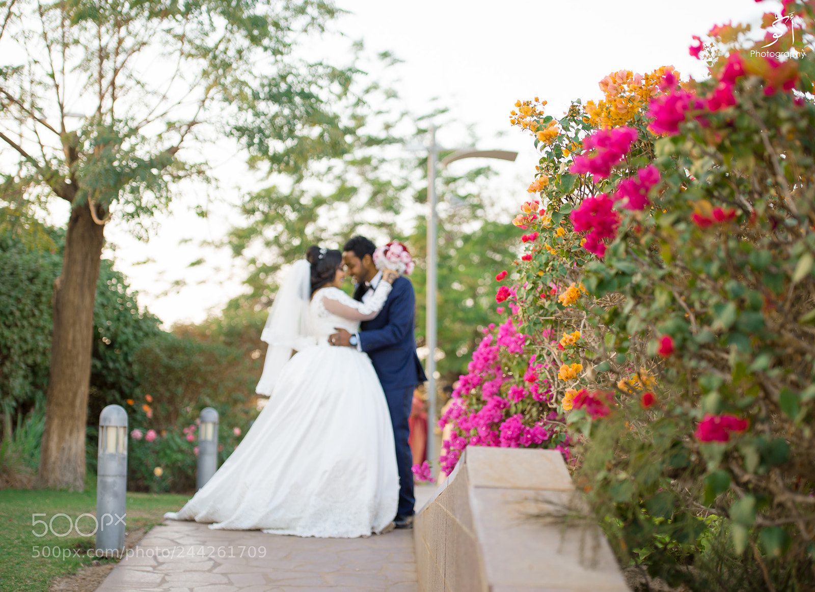 Nikon D610 sample photo. #sudanese_wedding_sudanese_photographer photography
