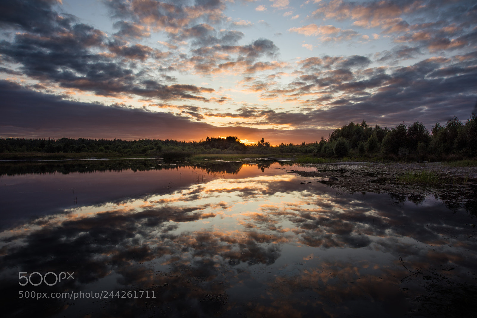 Nikon D810 sample photo. Dusk photography