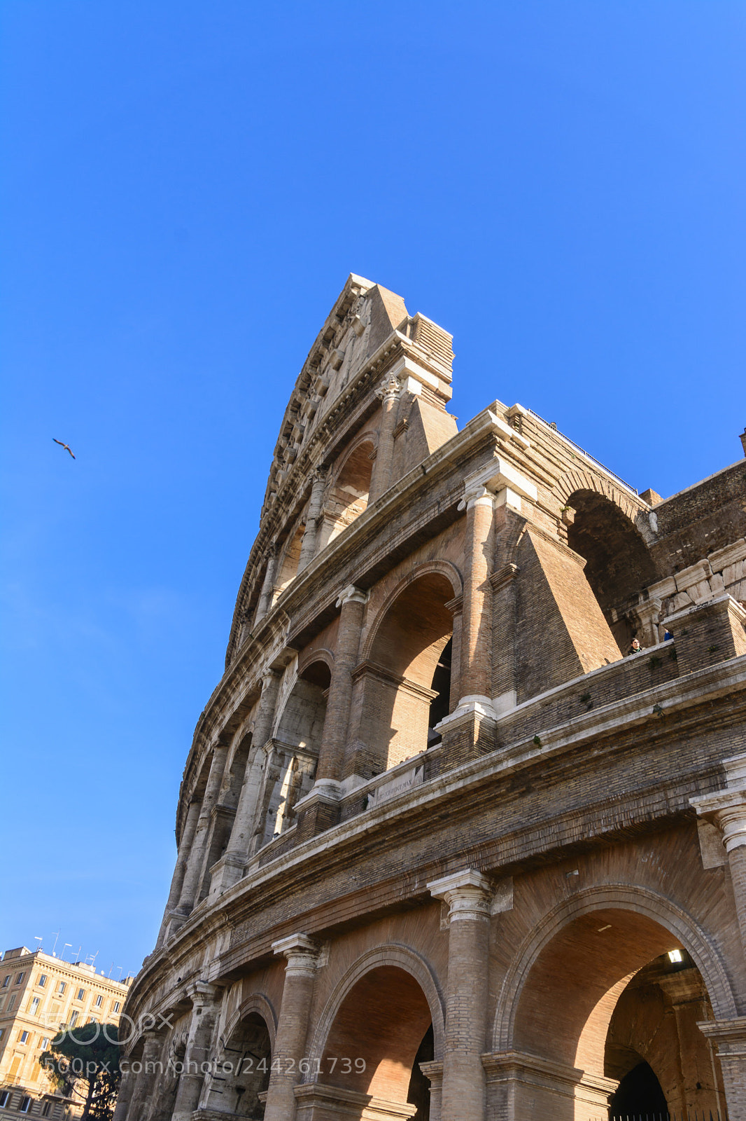 Nikon D7100 sample photo. Rome photography