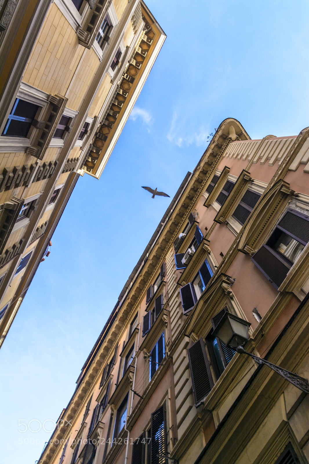 Nikon D7100 sample photo. Rome photography