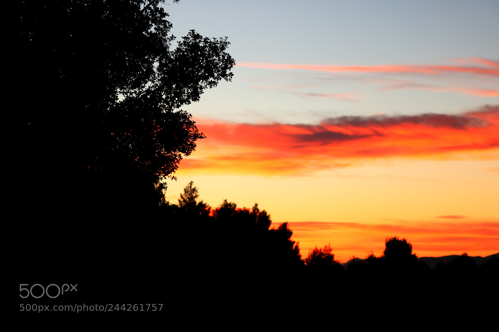Canon EOS 750D (EOS Rebel T6i / EOS Kiss X8i) sample photo. Golden hour photography