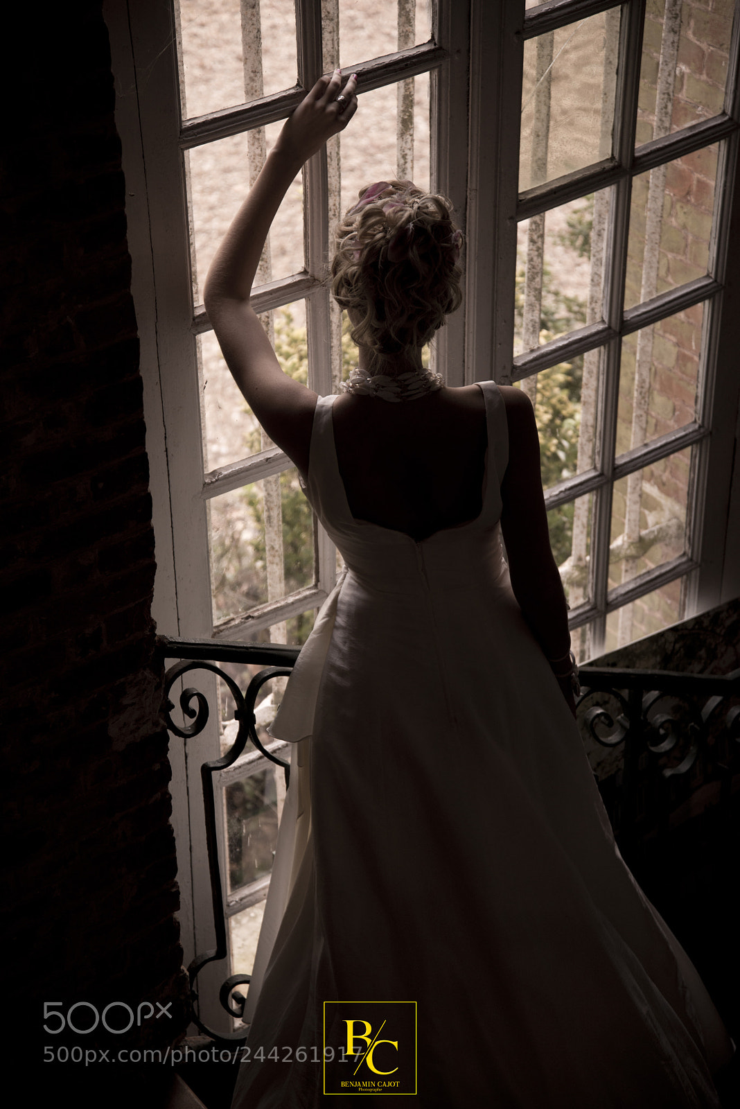 Nikon D800 sample photo. Untitled photography