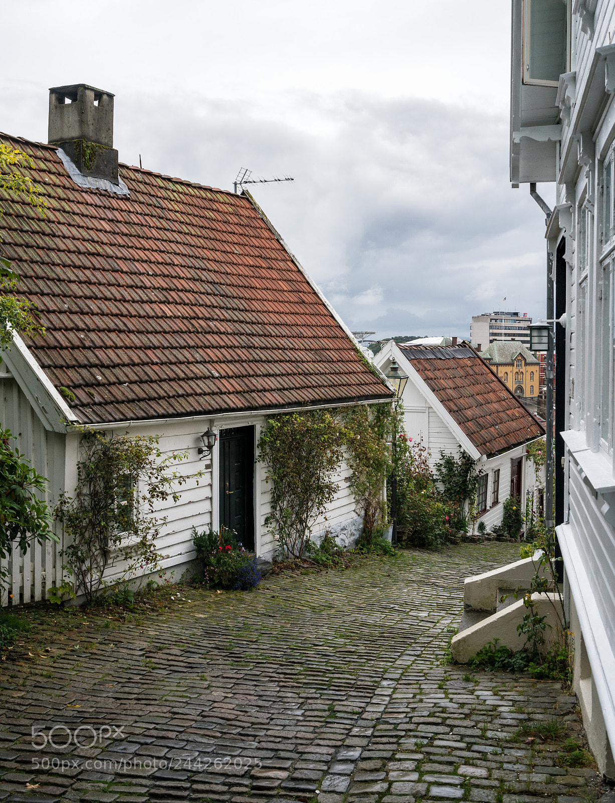Sony a7R II sample photo. Narrow cobblestone street in photography