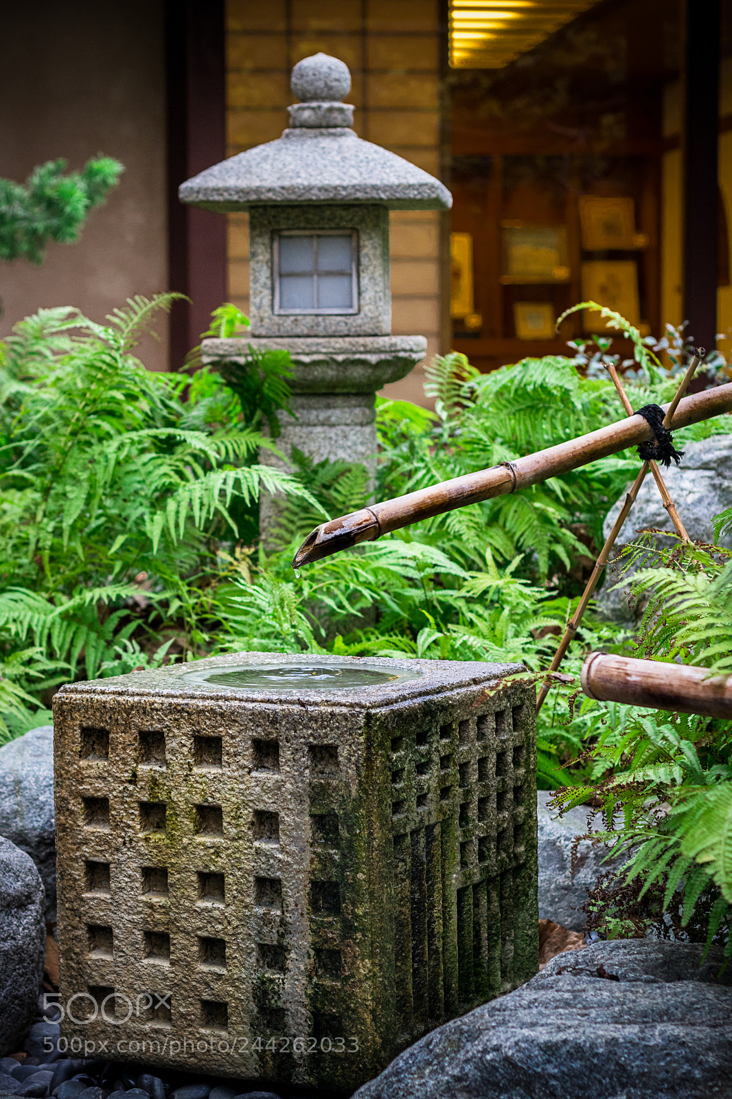 Canon EOS 77D (EOS 9000D / EOS 770D) sample photo. Peace photography