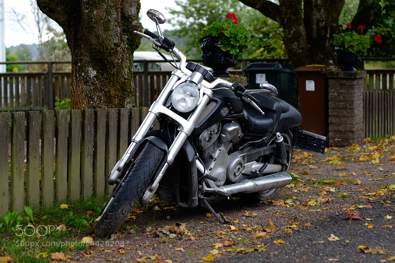 Fujifilm X-T10 sample photo. Steel horse photography