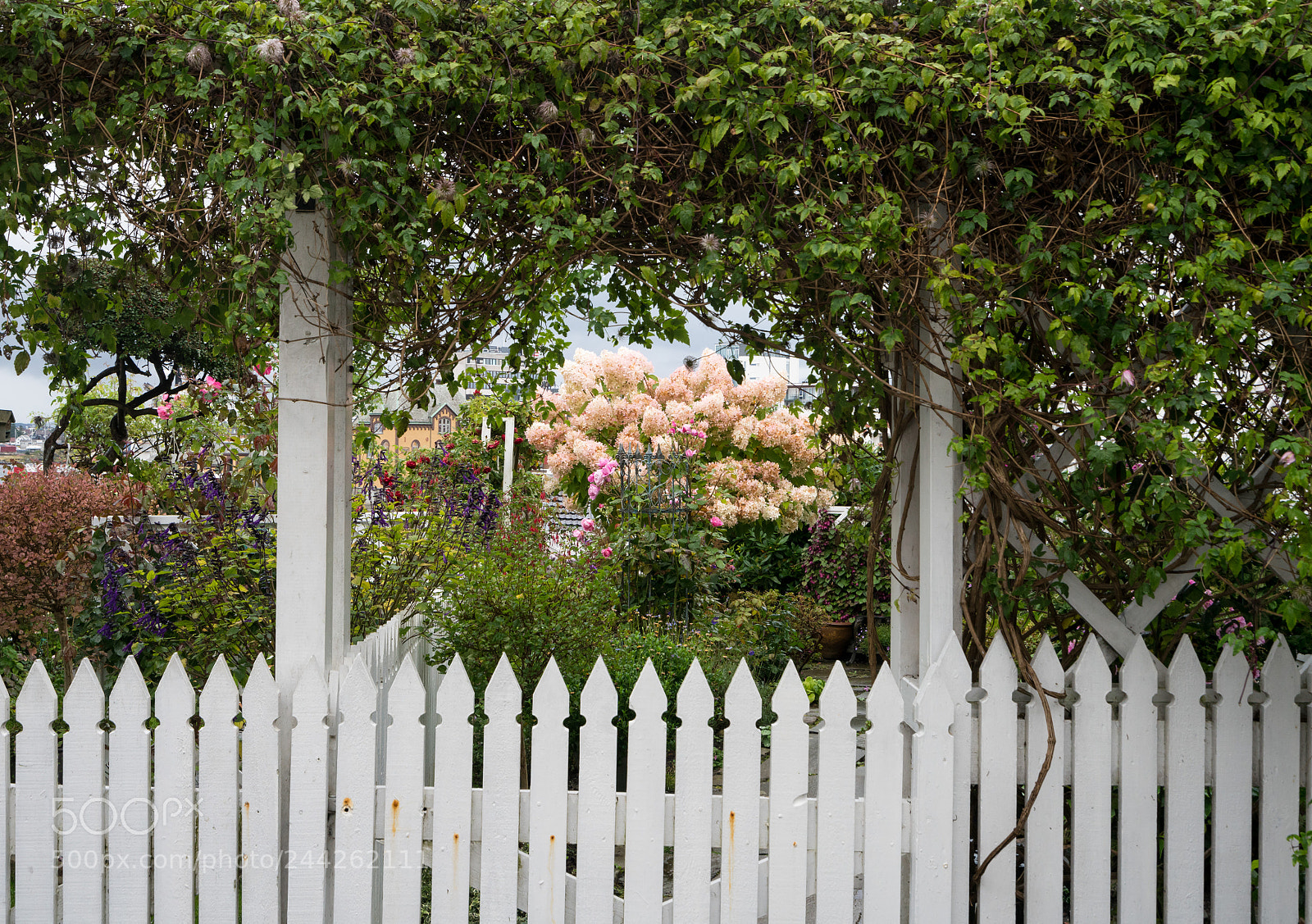 Sony a7R II sample photo. Small colorful garden in photography