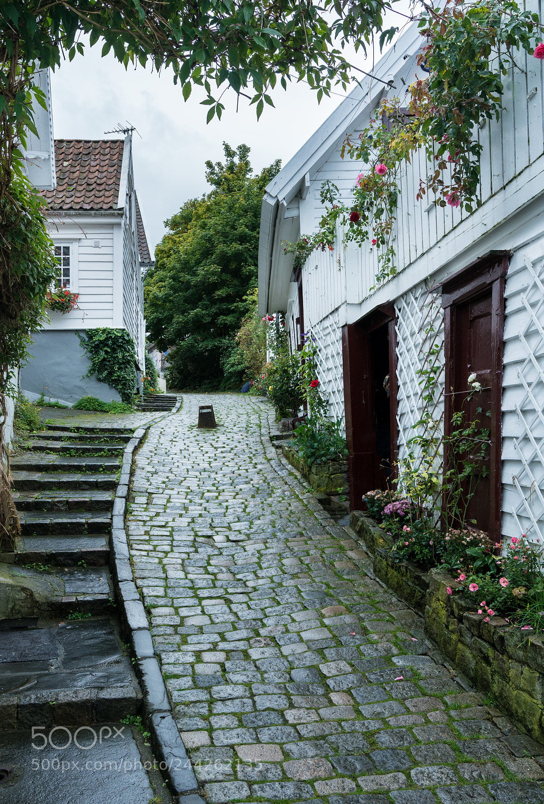 Sony a7R II sample photo. Narrow cobblestone street in photography