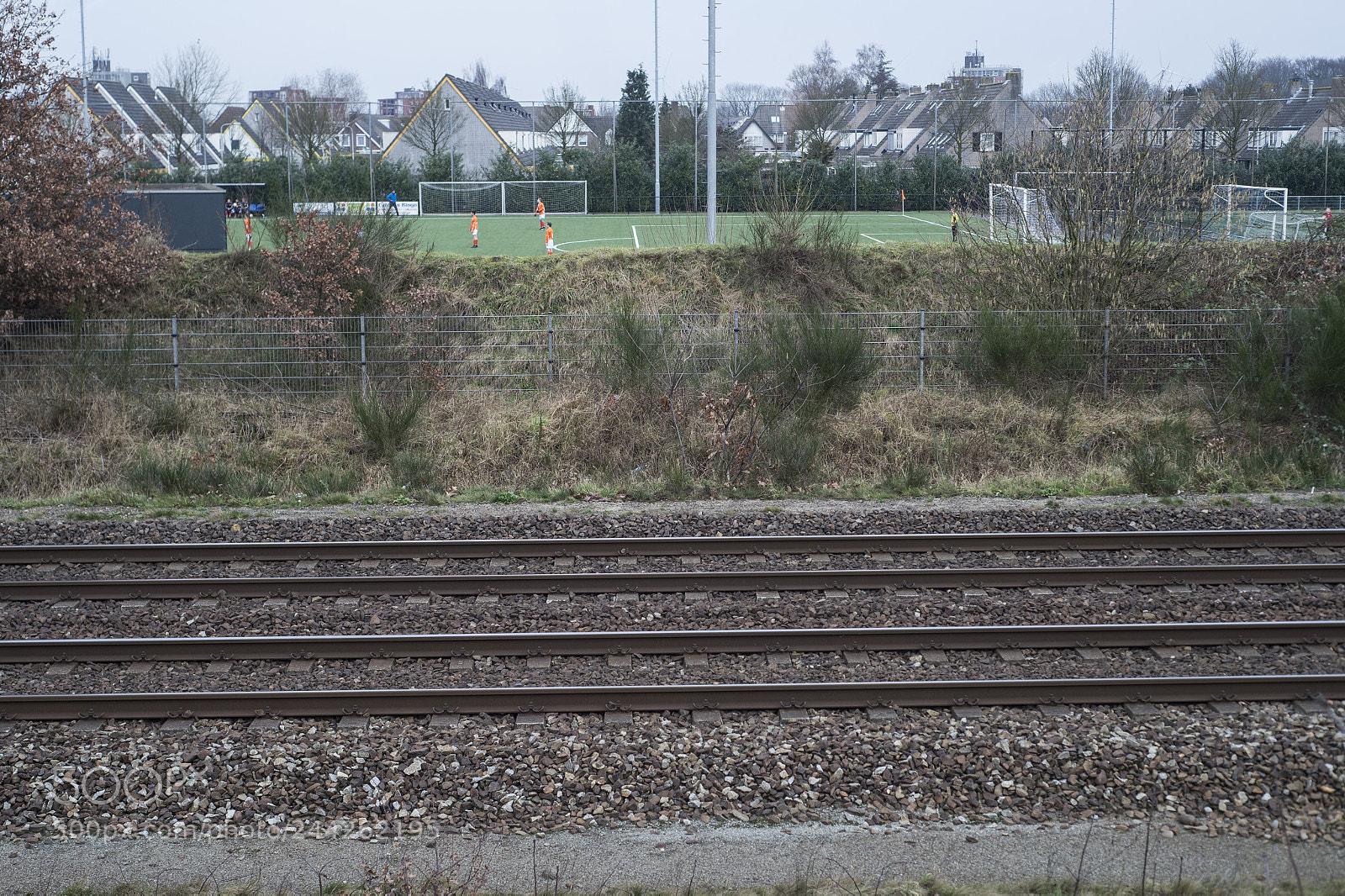 Nikon D4S sample photo. Reeshof photography