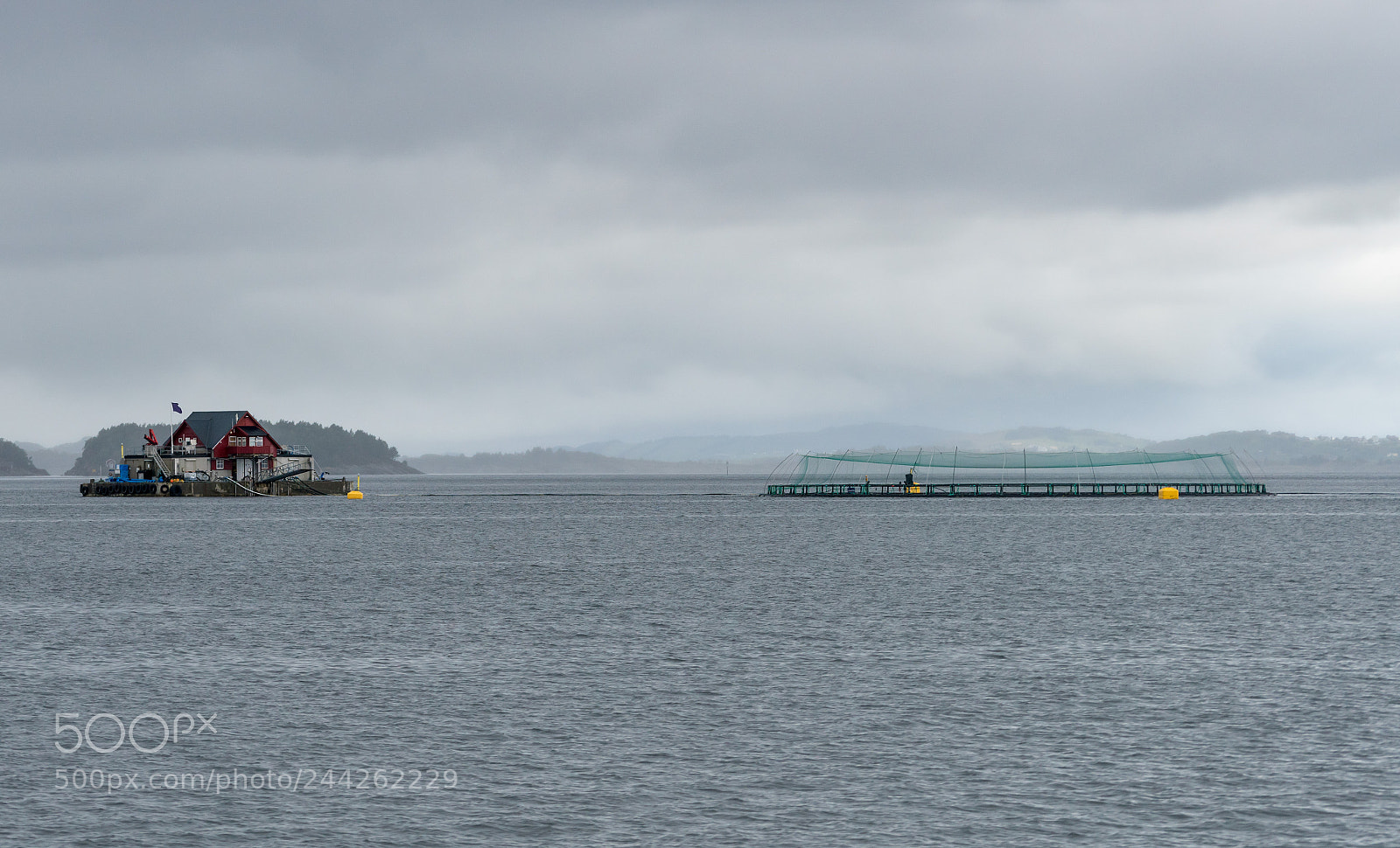 Sony a7R II sample photo. Norwegian industrial scale fish photography