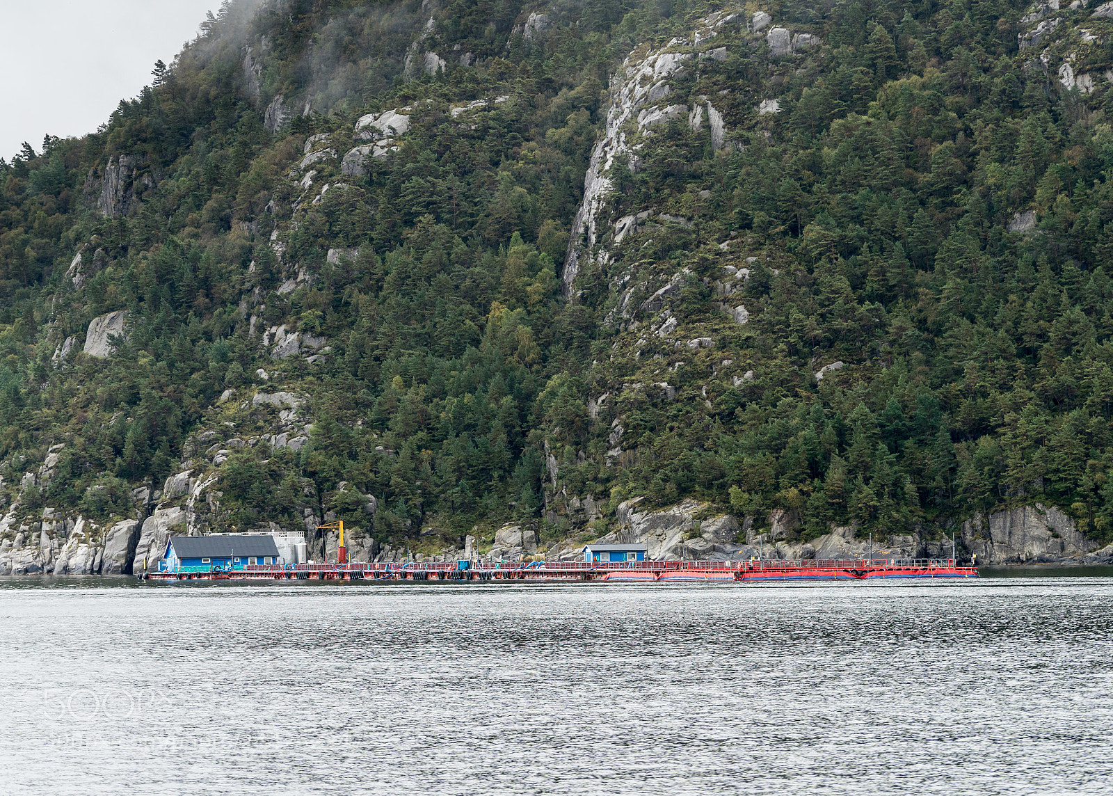 Sony a7R II sample photo. Norwegian industrial scale fish photography