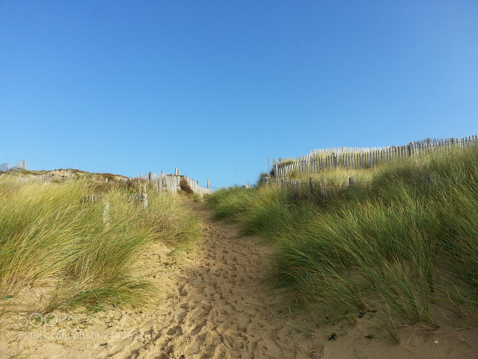 Samsung Galaxy Note2 sample photo. Untitled photography