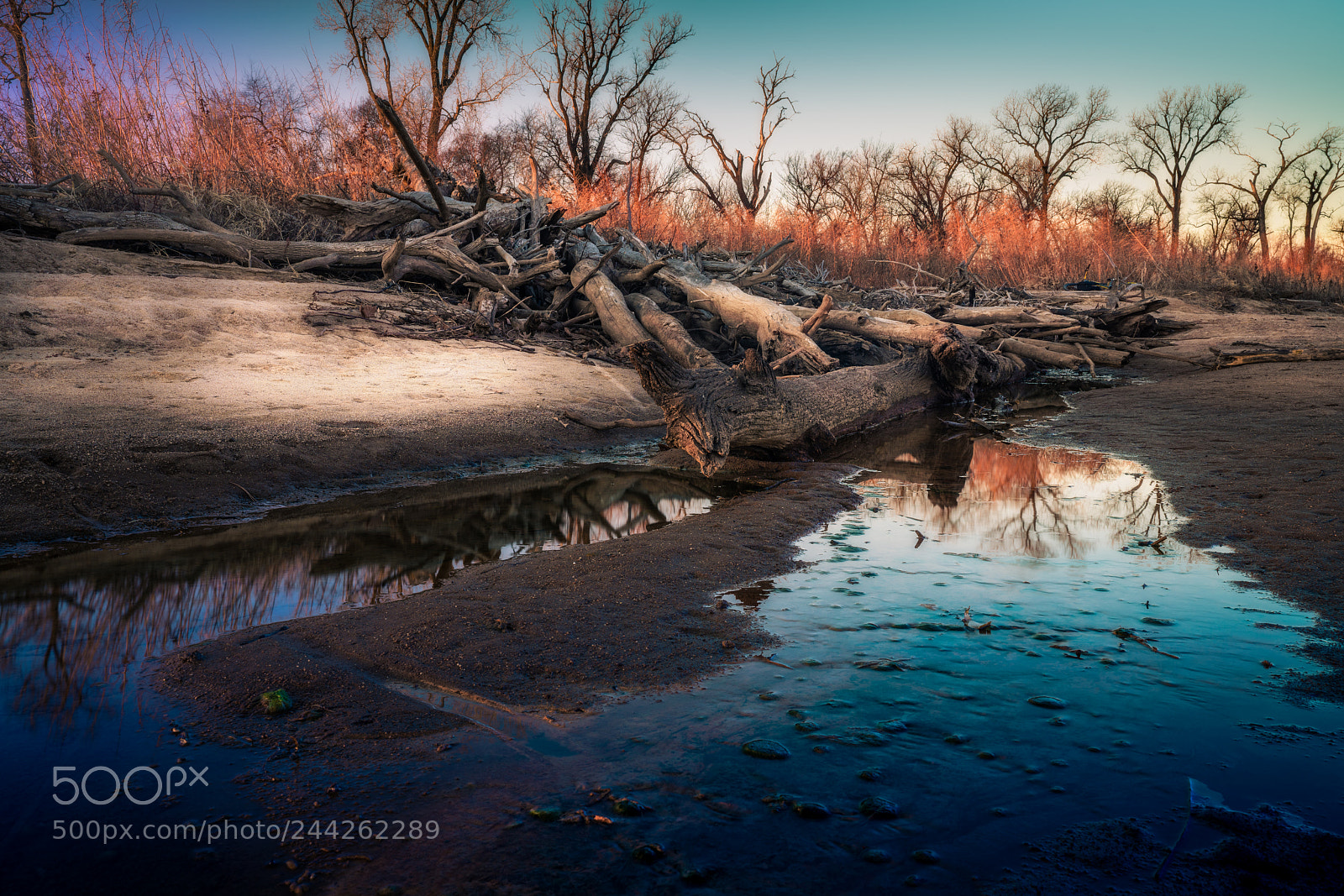 Sony a7R III sample photo. River logs photography