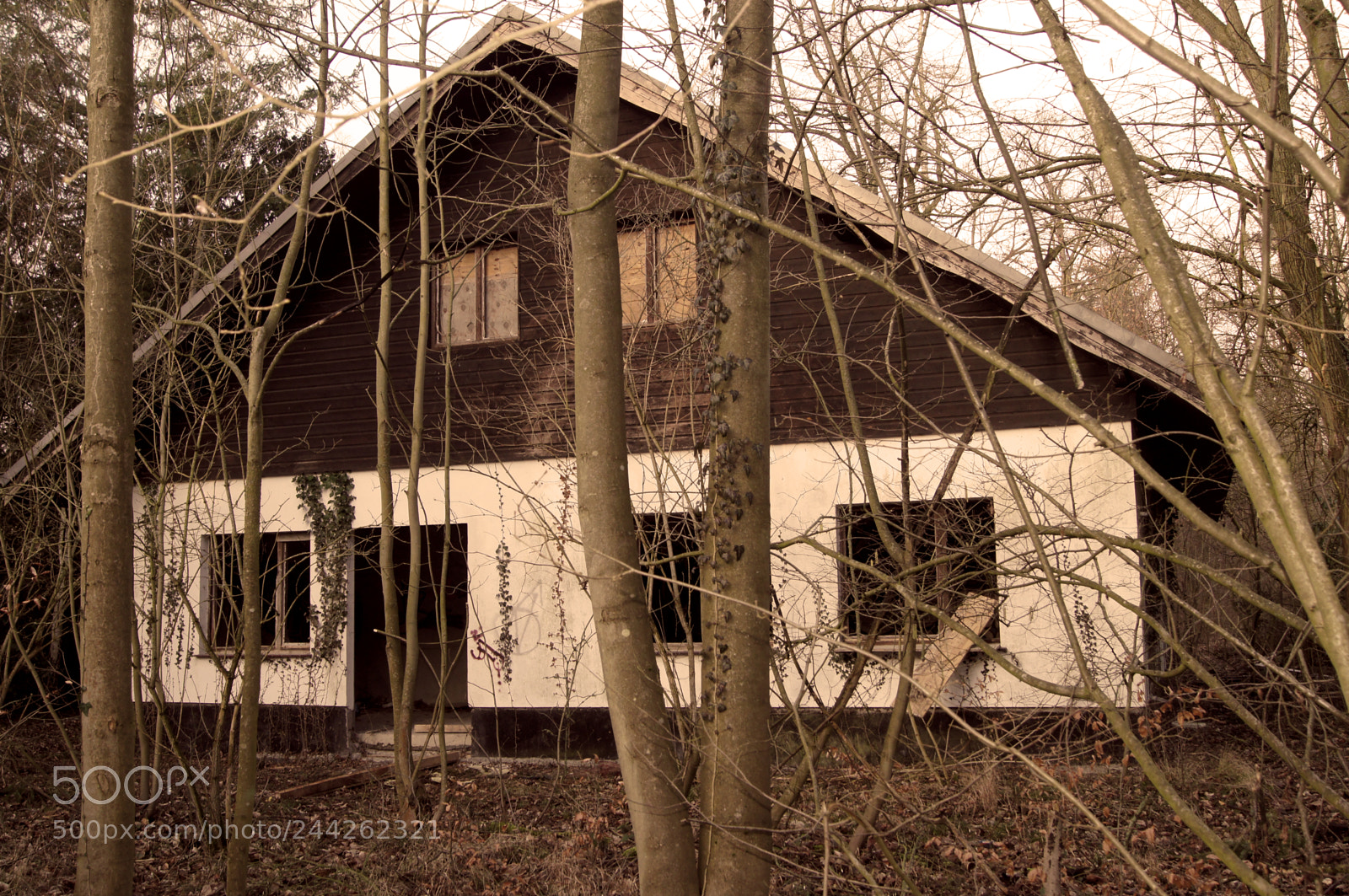 Sony SLT-A55 (SLT-A55V) sample photo. Old abandoned house in photography