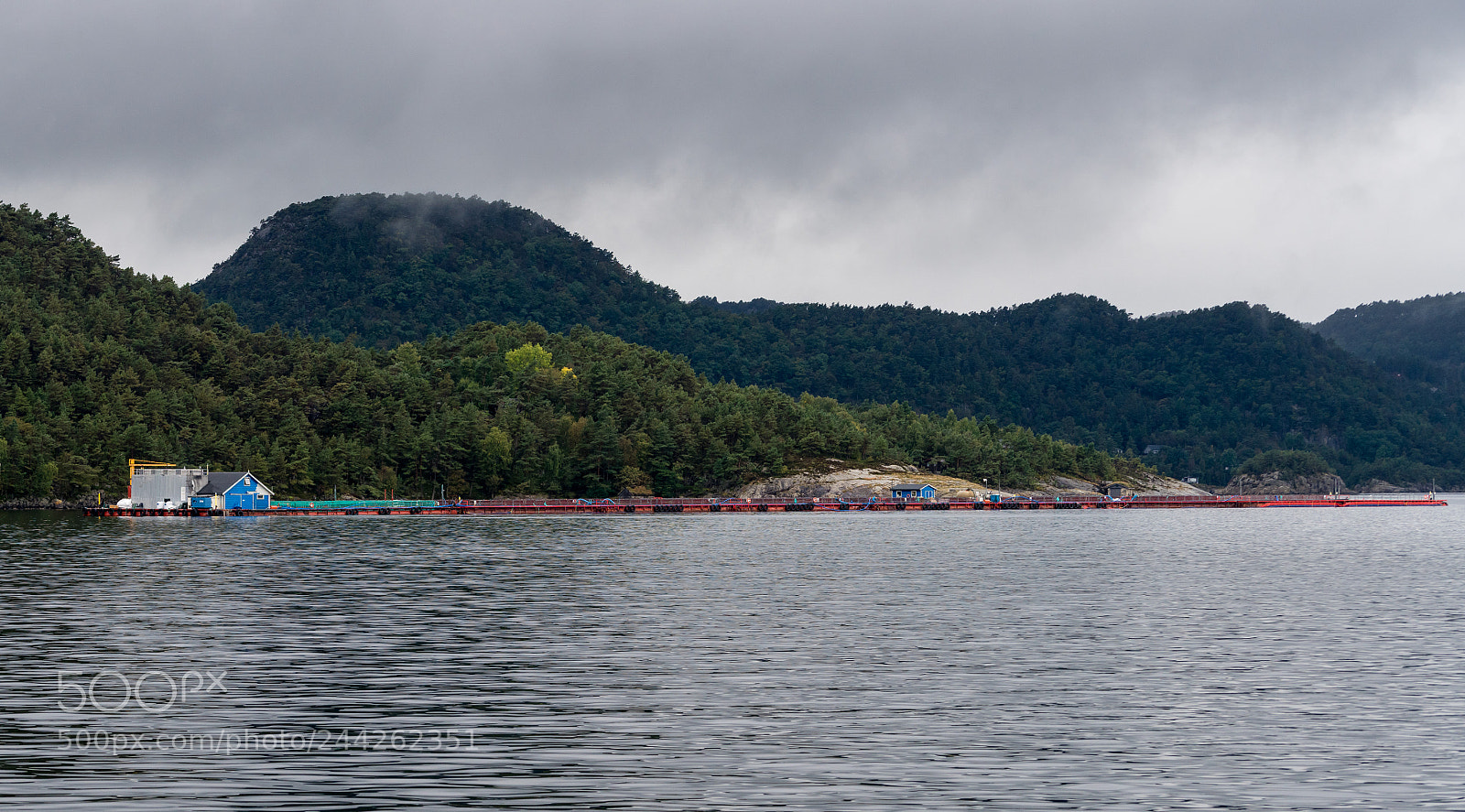 Sony a7R II sample photo. Norwegian industrial scale fish photography
