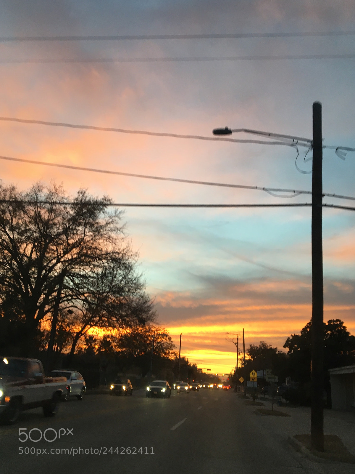 Apple iPhone 6s sample photo. Untitled photography