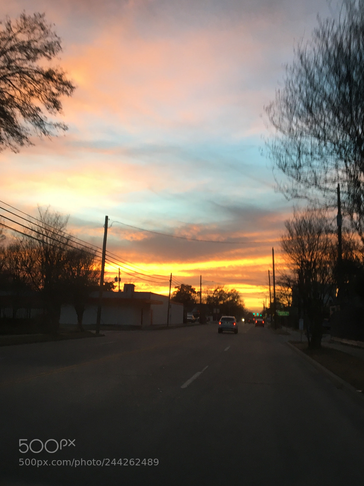 Apple iPhone 6s sample photo. Untitled photography