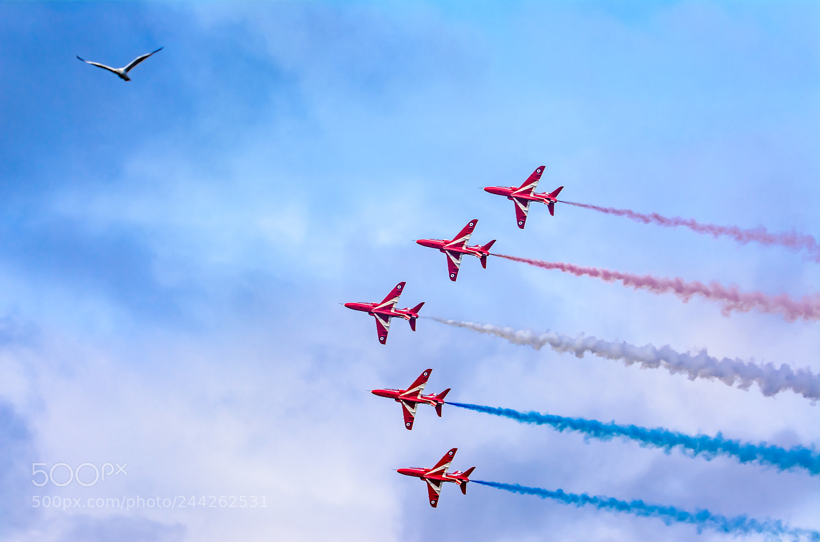 Nikon D7100 sample photo. Red arrows photography