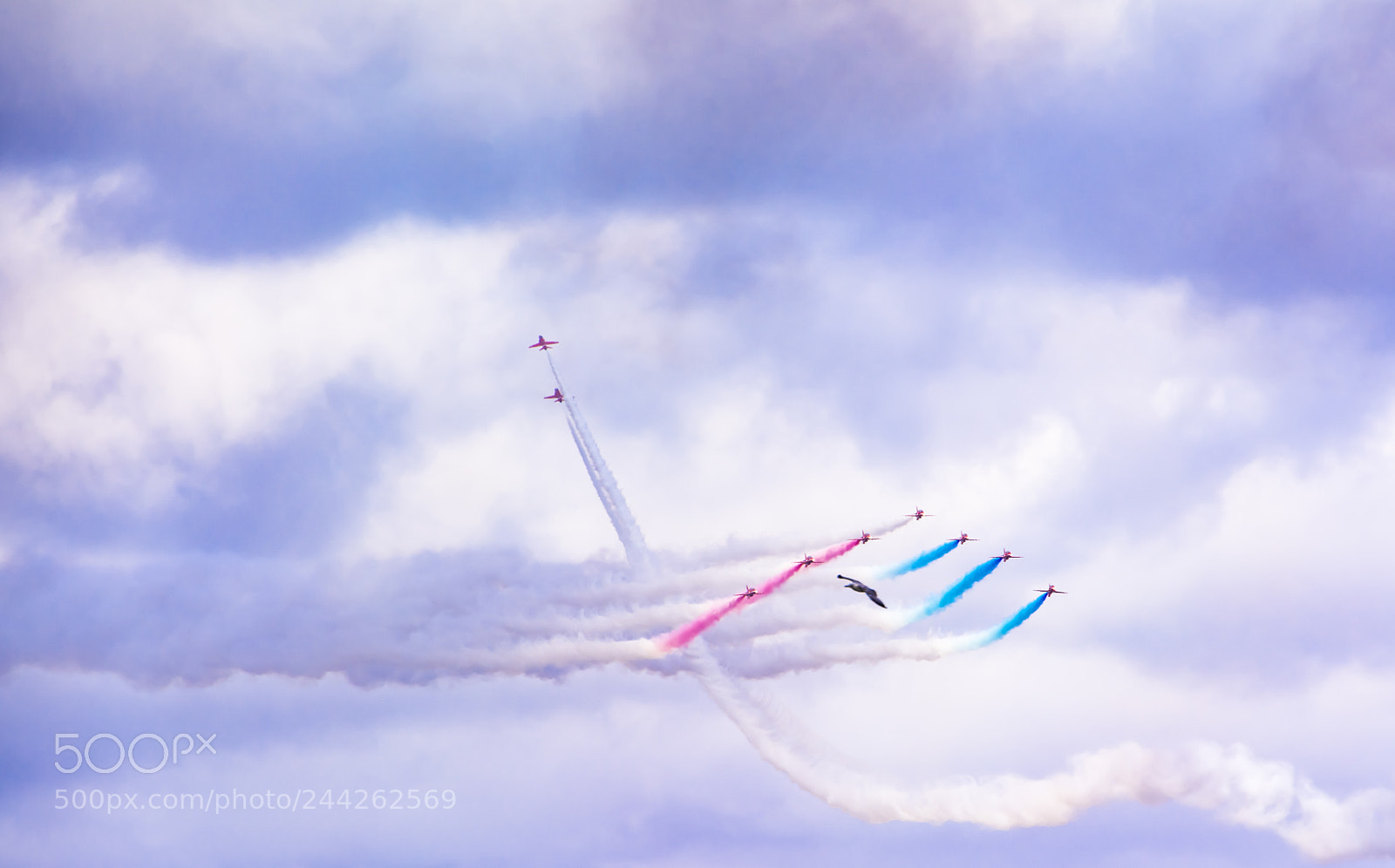 Nikon D7100 sample photo. Red arrows photography