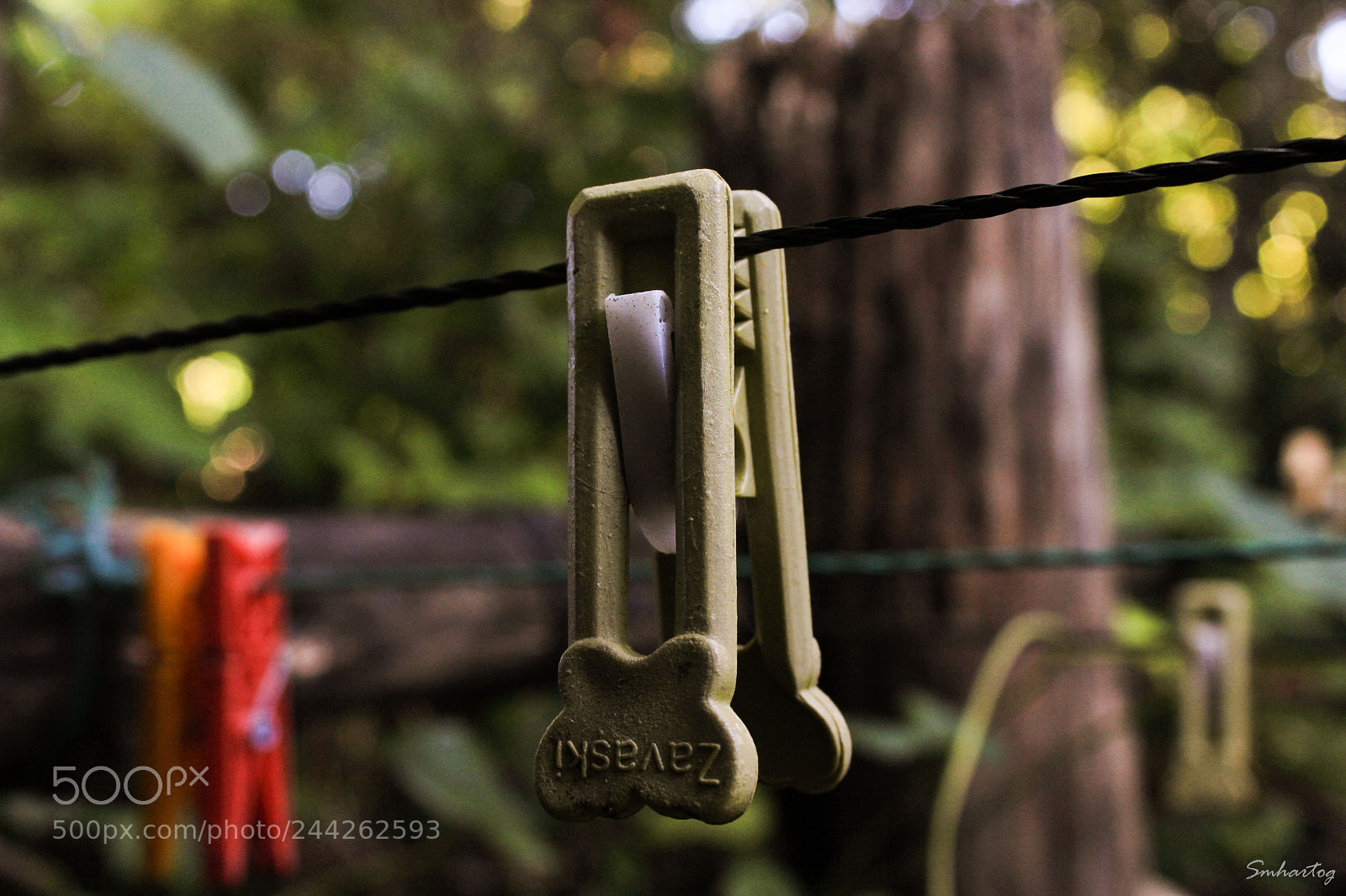 Canon EOS 1200D (EOS Rebel T5 / EOS Kiss X70 / EOS Hi) sample photo. Devaneios photography