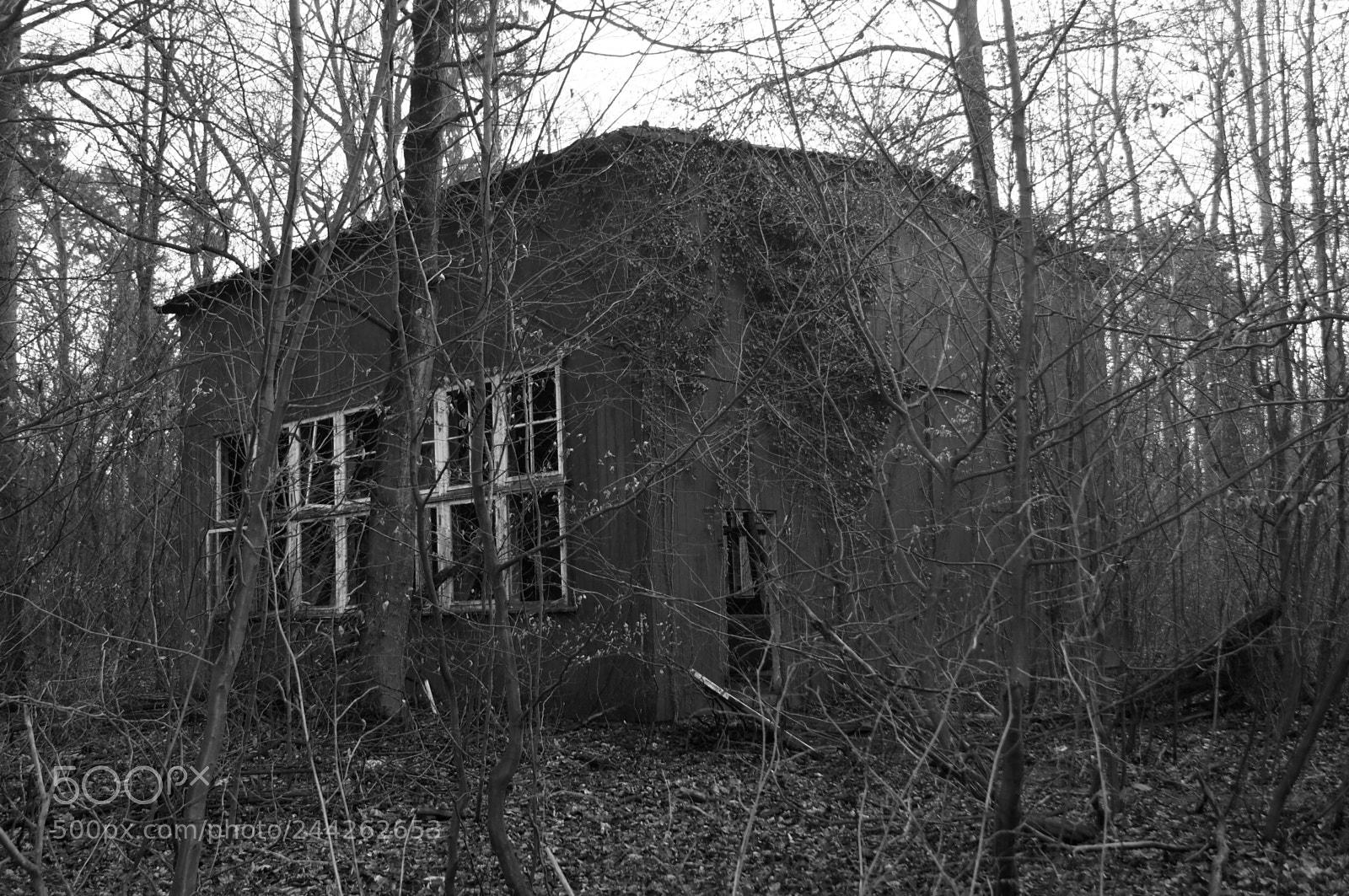 Sony SLT-A55 (SLT-A55V) sample photo. Old abandoned house in photography