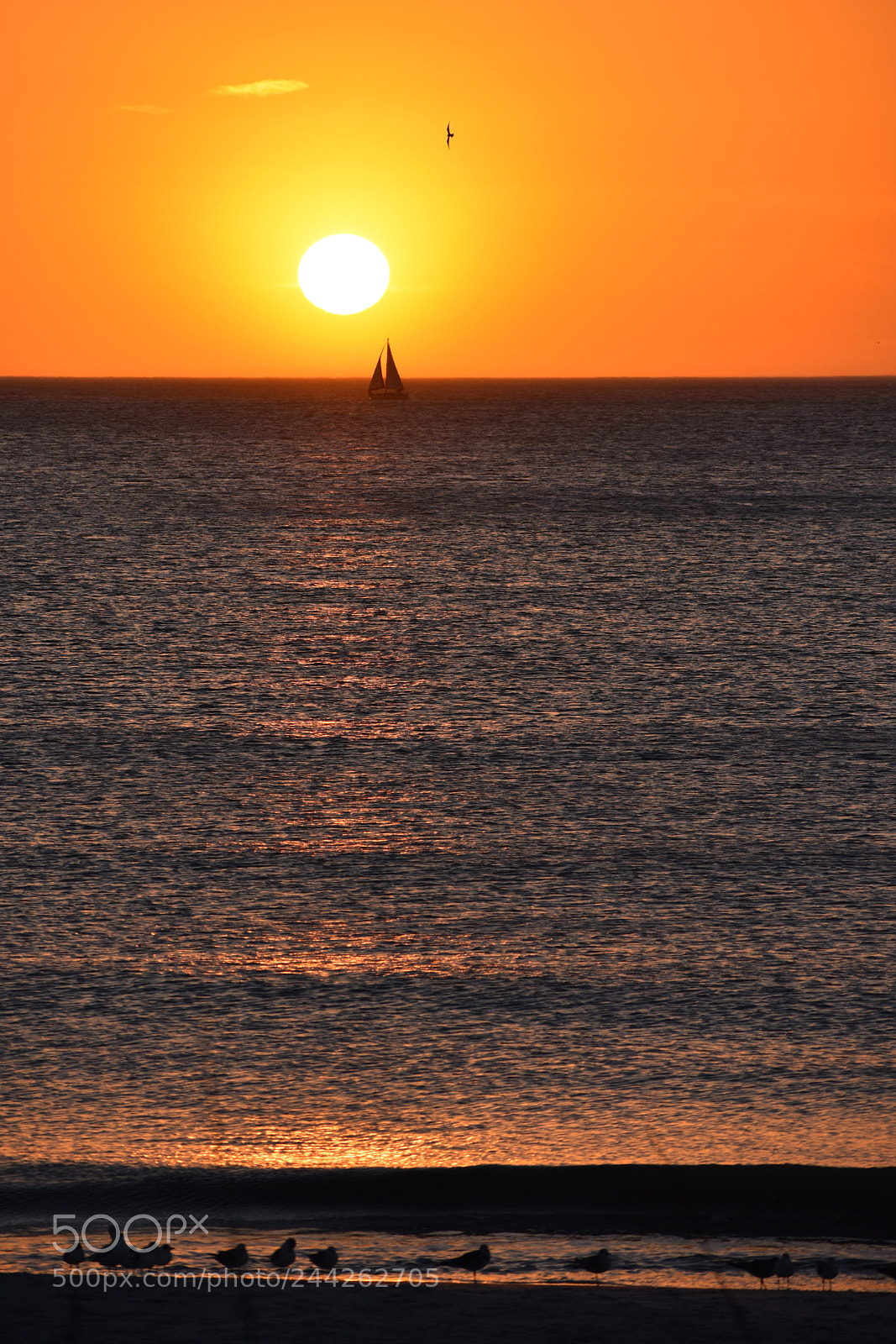 Nikon D3400 sample photo. Sunset sailing photography