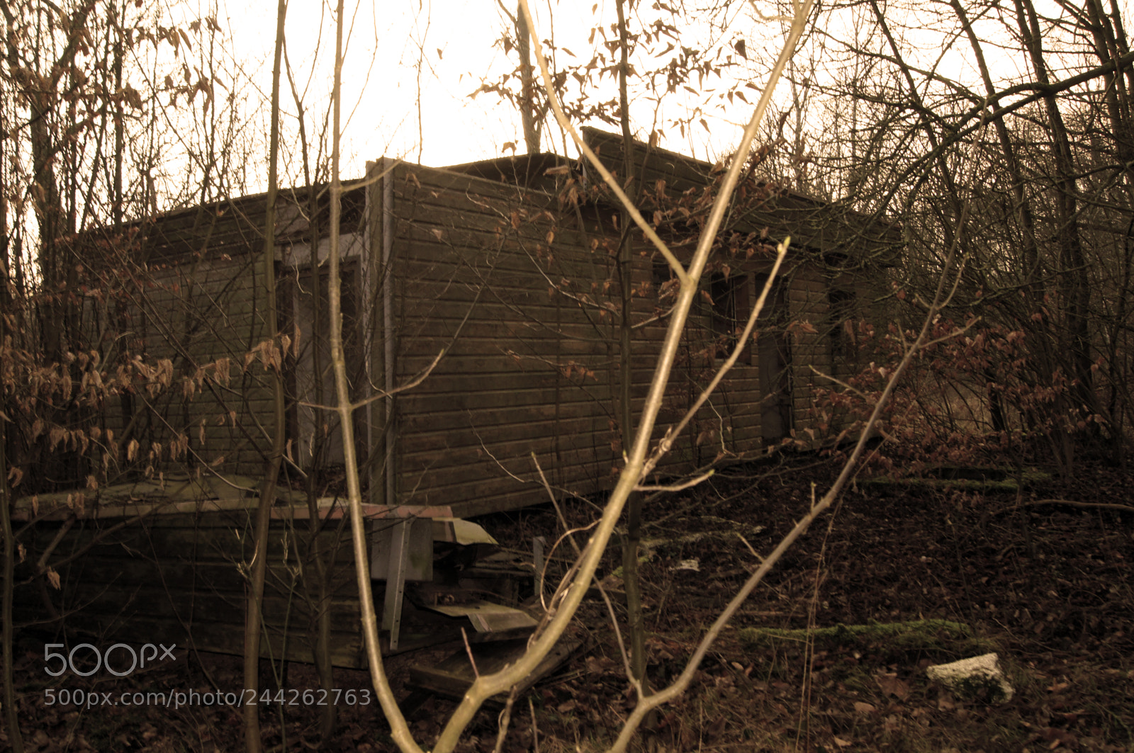 Sony SLT-A55 (SLT-A55V) sample photo. Old abandoned house in photography