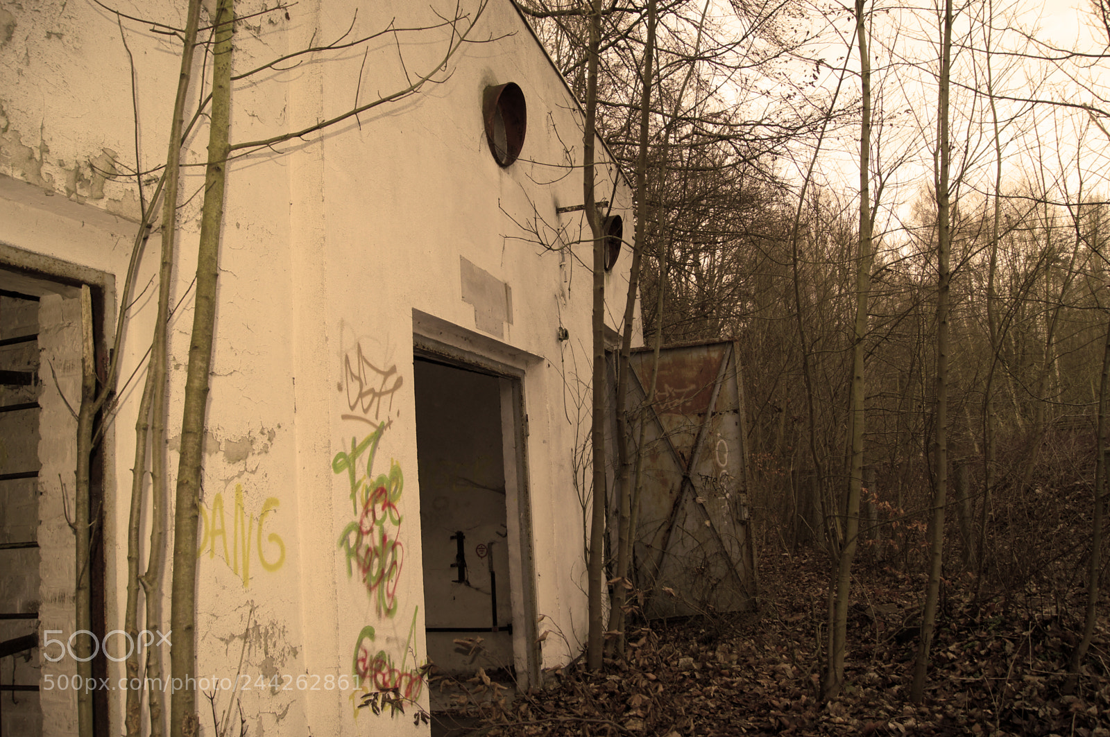 Sony SLT-A55 (SLT-A55V) sample photo. Old abandoned house in photography