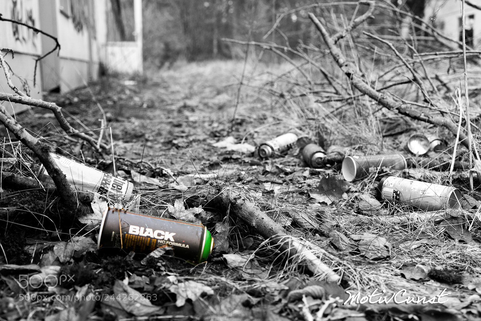 Sony a7 II sample photo. Black - spray photography