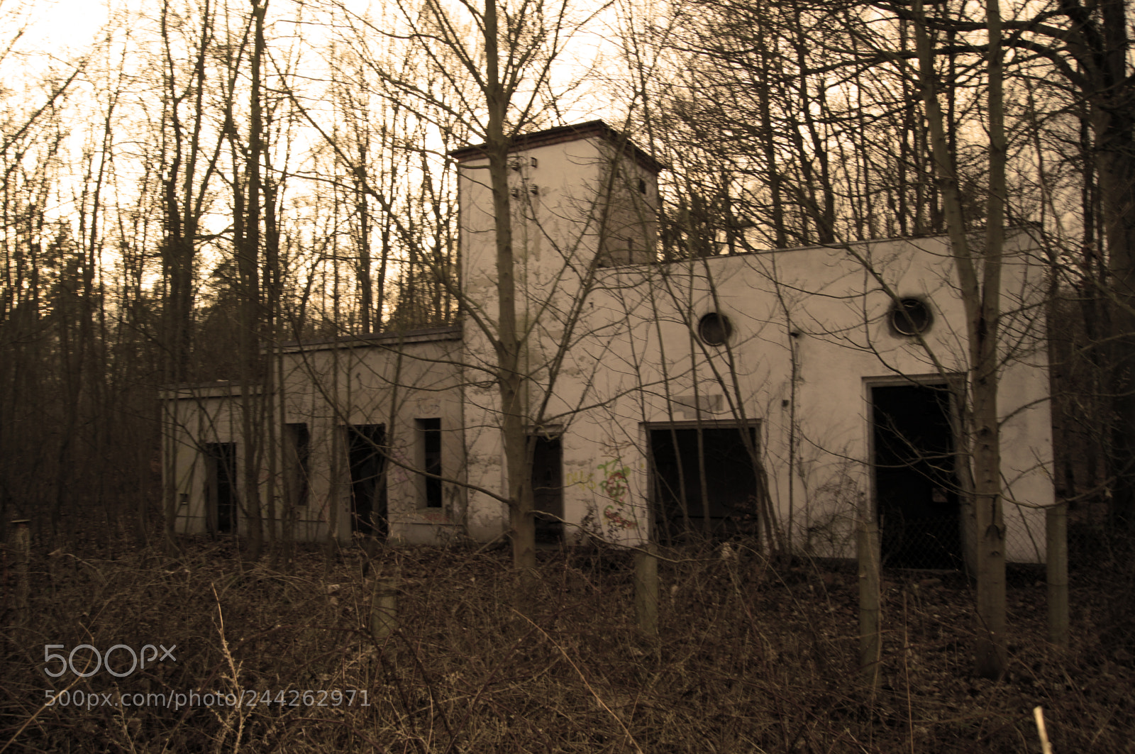 Sony SLT-A55 (SLT-A55V) sample photo. Old abandoned house in photography