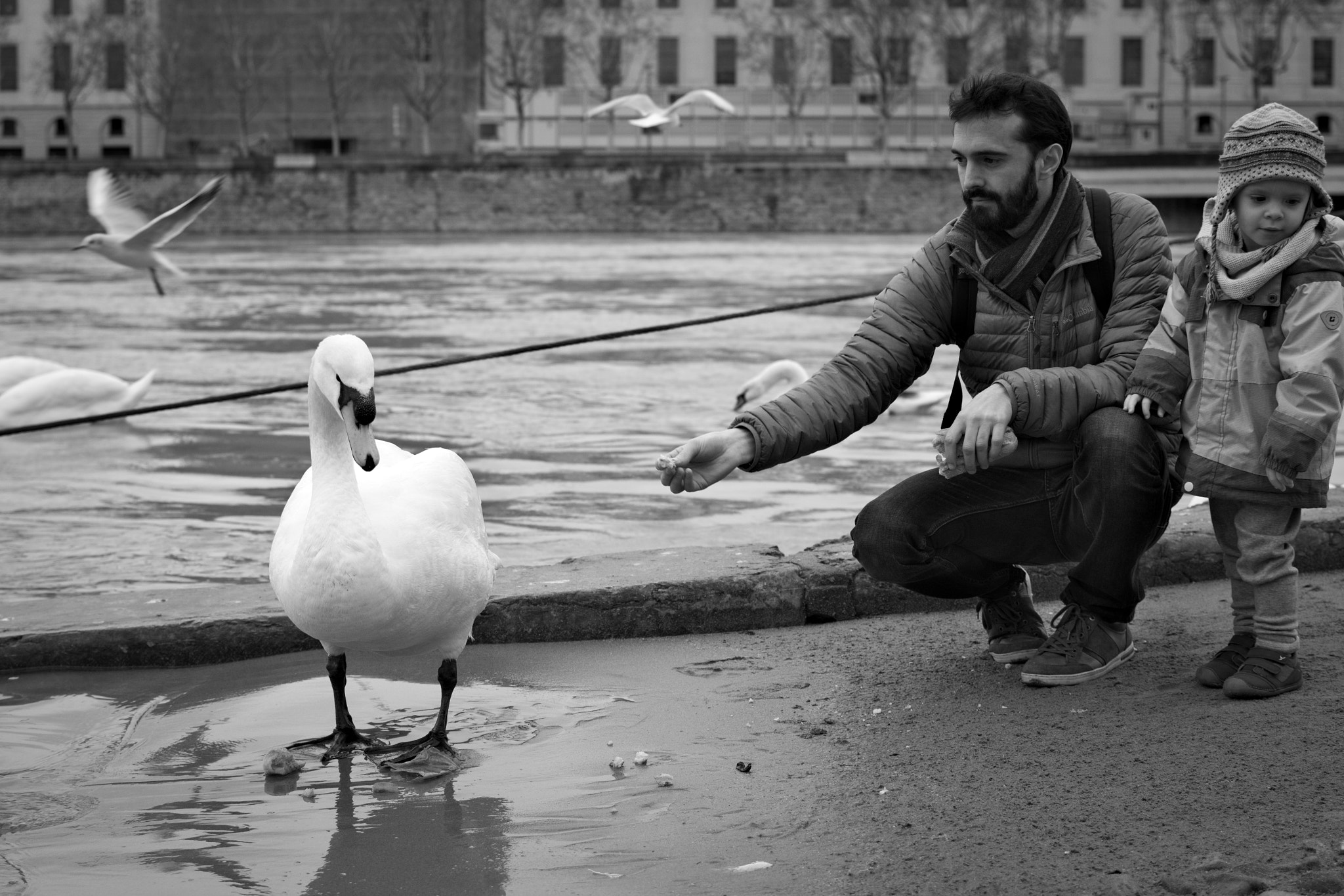 Nikon AF-S DX Nikkor 35mm F1.8G sample photo. Teach simple things, lyon (france) photography