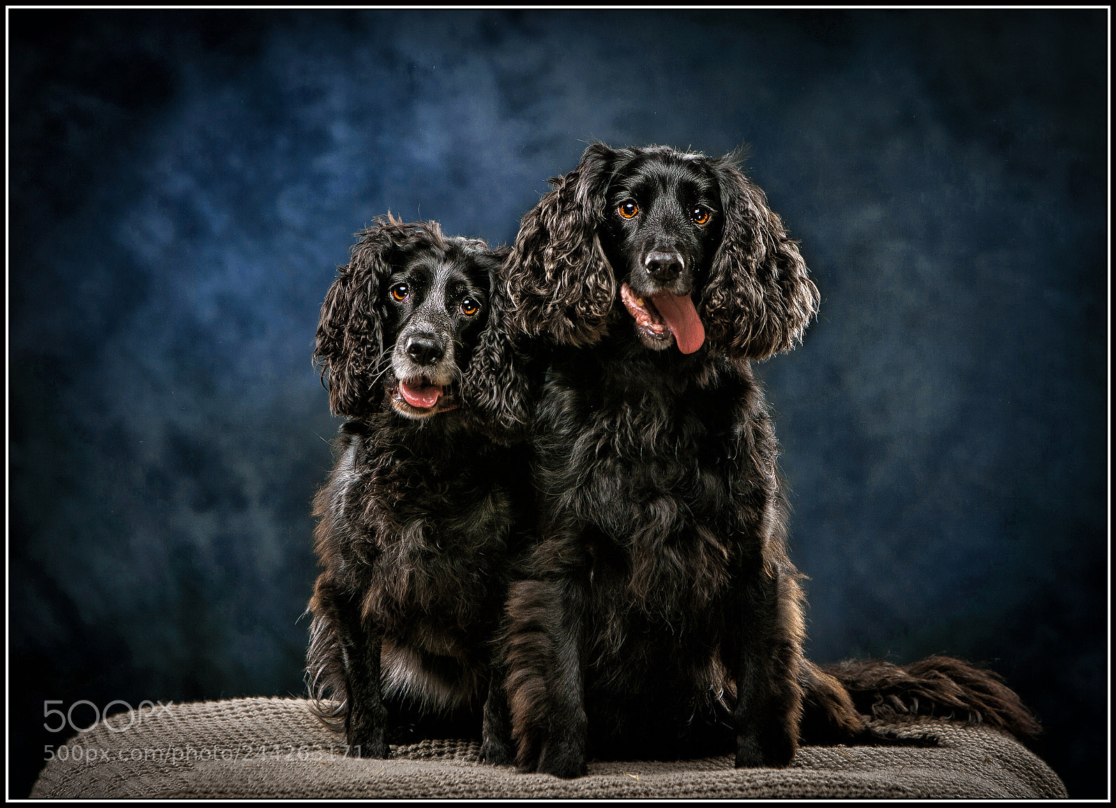 Canon EOS-1D Mark II N sample photo. Studio portrait of two photography